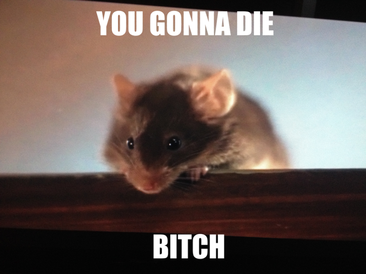 you gonna die mouse